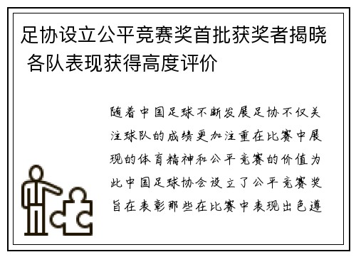足协设立公平竞赛奖首批获奖者揭晓 各队表现获得高度评价